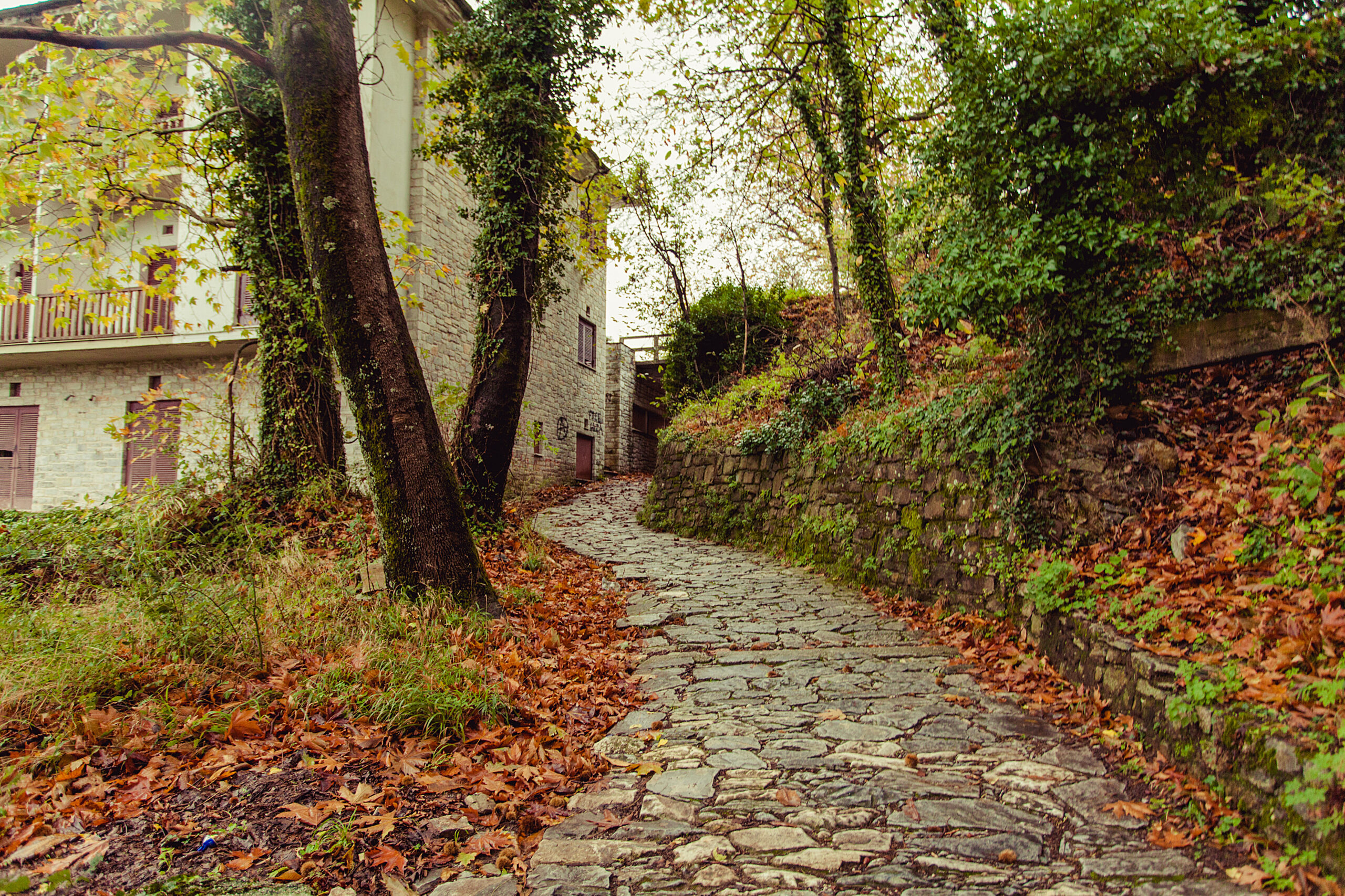 Taxi transfer Volos to Tsagarada Pelion