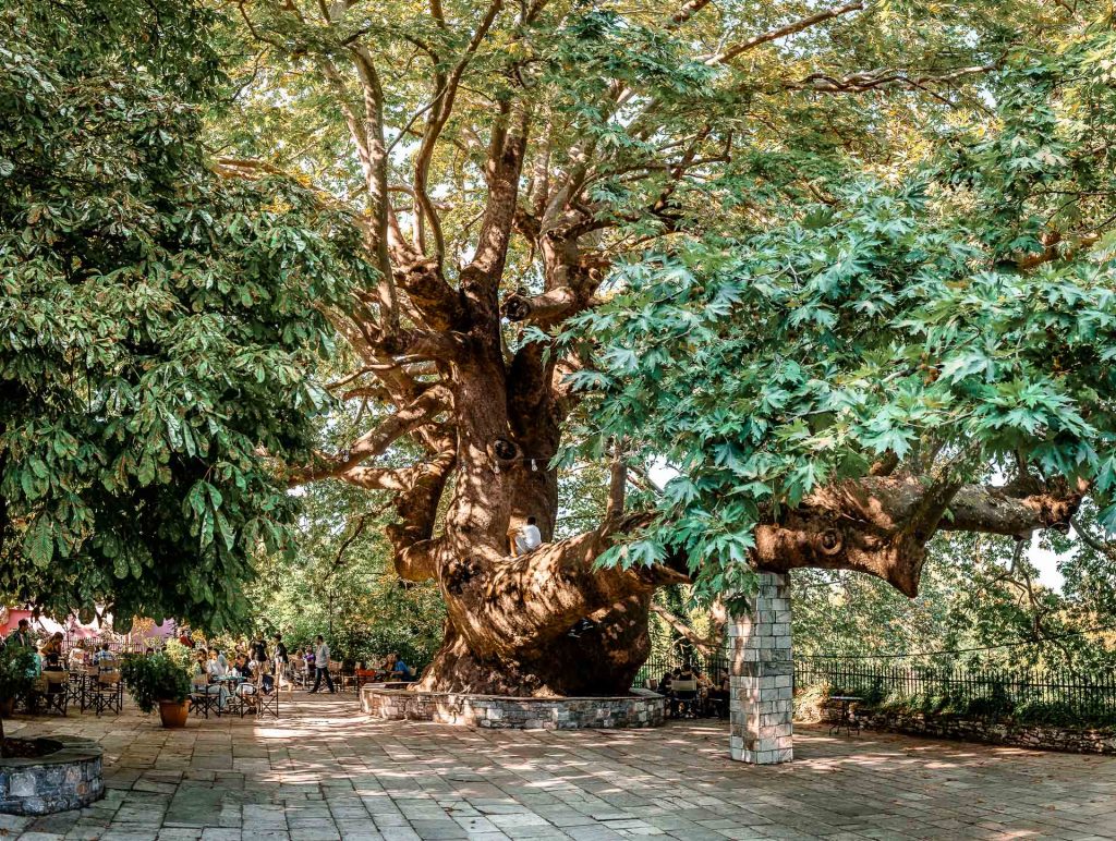 Book Transfer Volos to Tsagarada Pelion